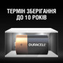 Duracell Батарейки Basic тип D, 2 шт. (LR20, 1.5V, Alkaline Лужна) (великі) 5000394052512