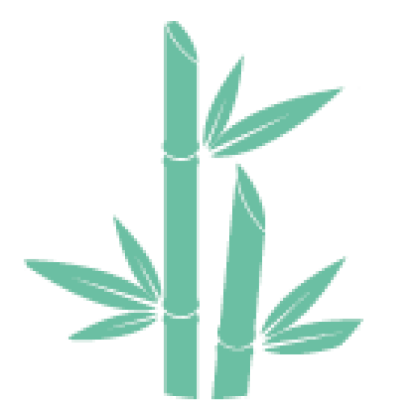 Canpol Тарілка бамбукова глибока SO COOL 9/210 (в асорт.)