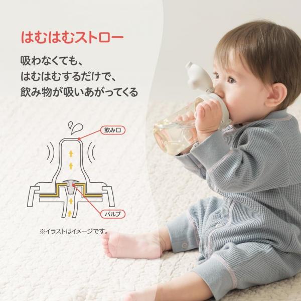 Pigeon Набір від пляшечки до поїльника Mag Mag, з 6 міс (4902508274036)